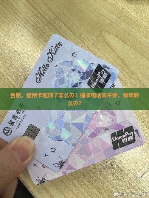 合肥，信用卡逾期了怎么办？催收电话响不停，我该肿么办？
