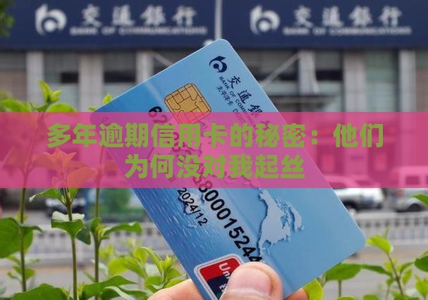 多年逾期信用卡的秘密：他们为何没对我起丝