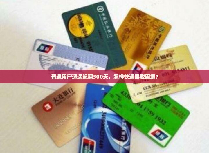 普通用户遭遇逾期300天，怎样快速摆脱困境？