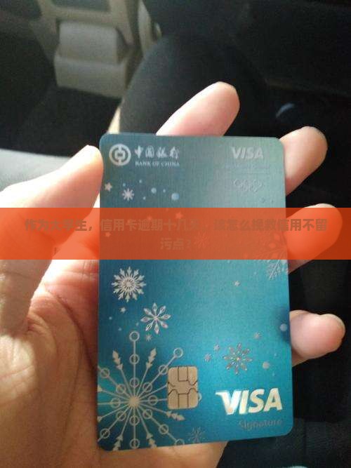 作为大学生，信用卡逾期十几天，该怎么挽救信用不留污点？