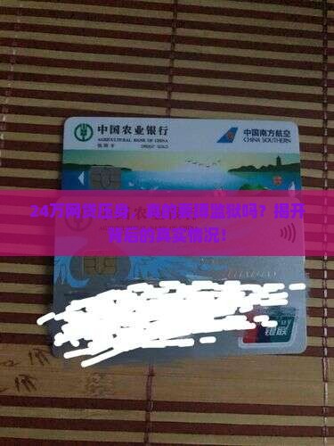 24万网贷压身，真的要蹲监狱吗？揭开背后的真实情况！
