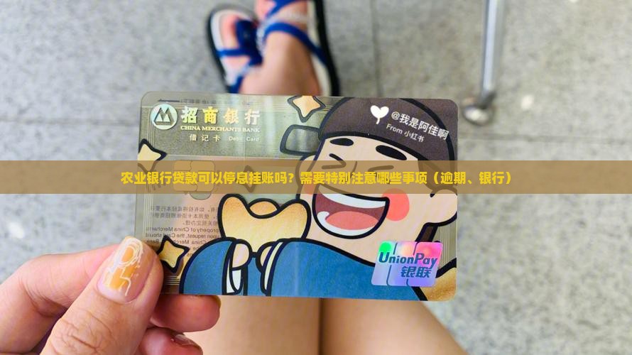 农业银行贷款可以停息挂账吗？需要特别注意哪些事项（逾期、银行）