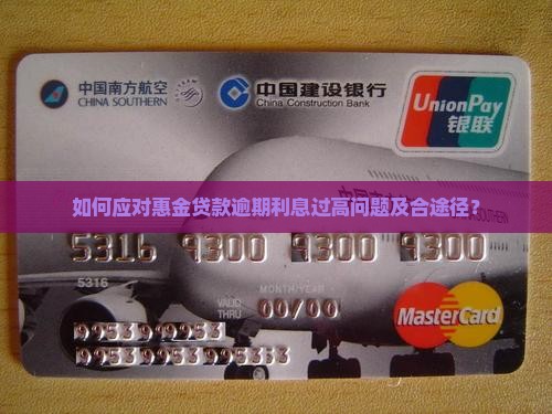 如何应对惠金贷款逾期利息过高问题及合途径？