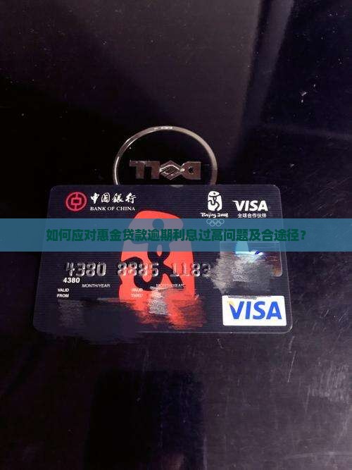 如何应对惠金贷款逾期利息过高问题及合途径？
