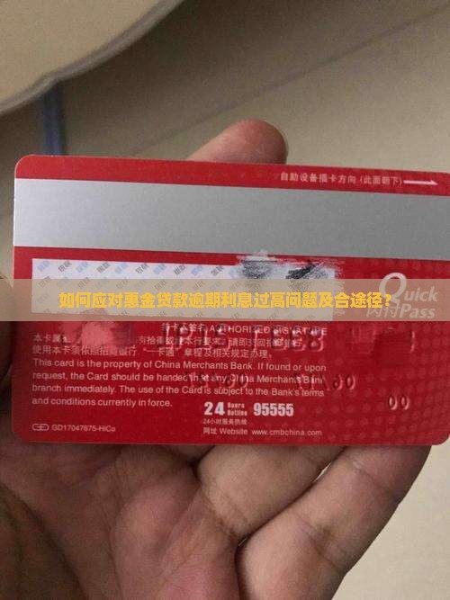 如何应对惠金贷款逾期利息过高问题及合途径？