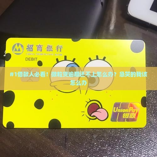 #1借款人必看！微粒贷逾期还不上怎么办？急哭的我该怎么办