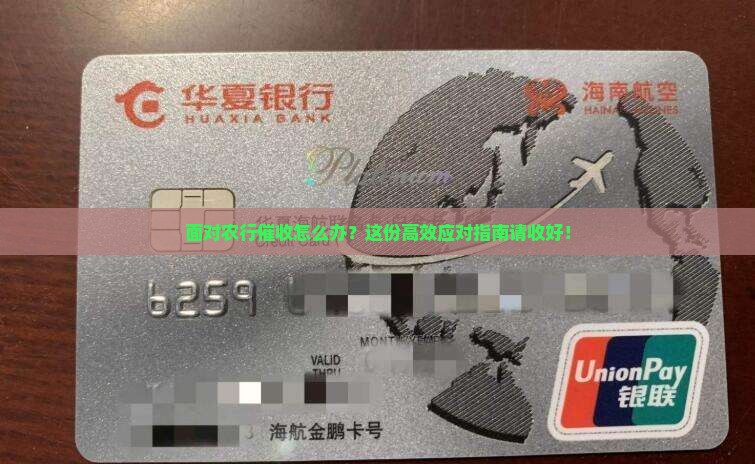 面对农行催收怎么办？这份高效应对指南请收好！