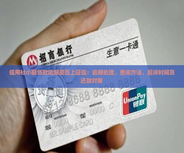 信用社小额贷款逾期是否上征信：逾期处理、查询方法、起诉时间及还款对策