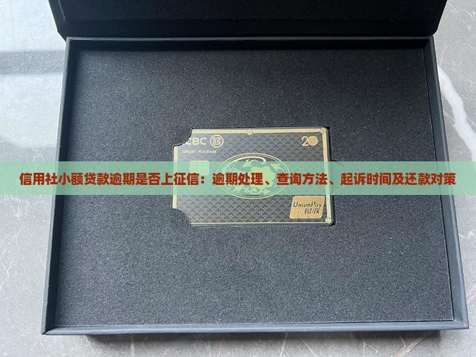 信用社小额贷款逾期是否上征信：逾期处理、查询方法、起诉时间及还款对策