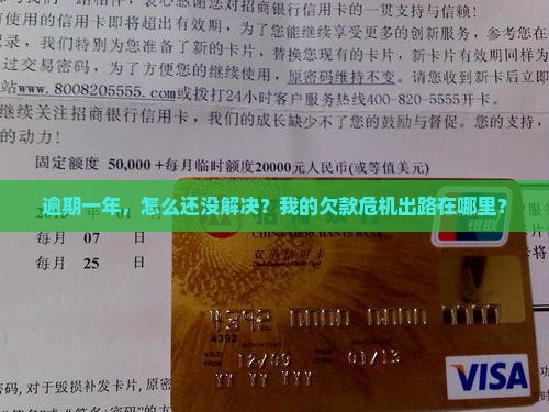 逾期一年，怎么还没解决？我的欠款危机出路在哪里？