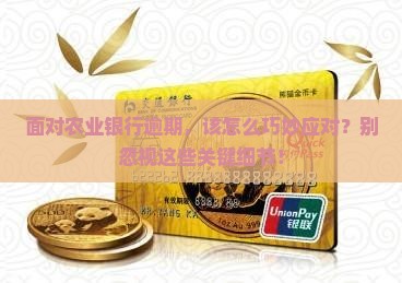 面对农业银行逾期,该怎么巧妙应对?别忽视这些关键细节! 面对农业银行逾期,该怎么巧妙应对?别忽视这些关键细节!