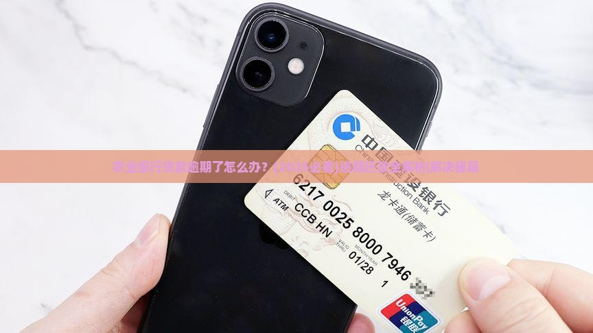 农业银行贷款逾期了怎么办还款方式有哪些