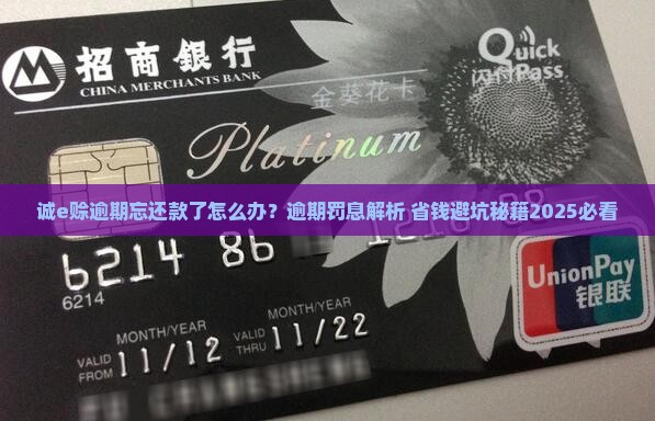 诚e赊逾期忘还款了