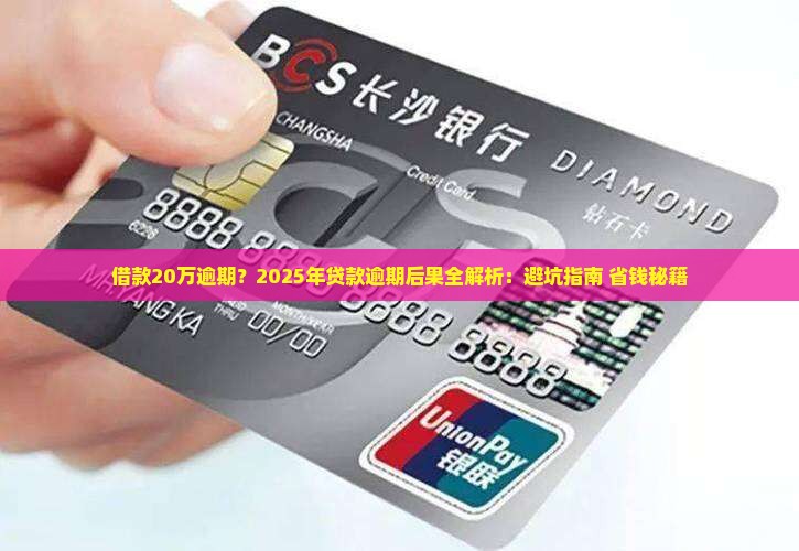 借款20万逾期