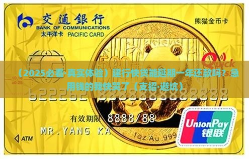 建行快贷可不可以延期一年还清款