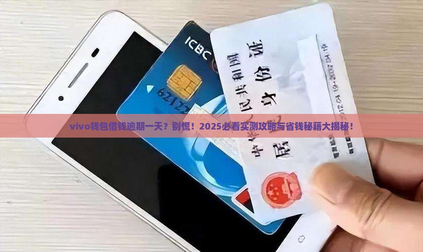 vivo钱包借钱逾期一天怎么办