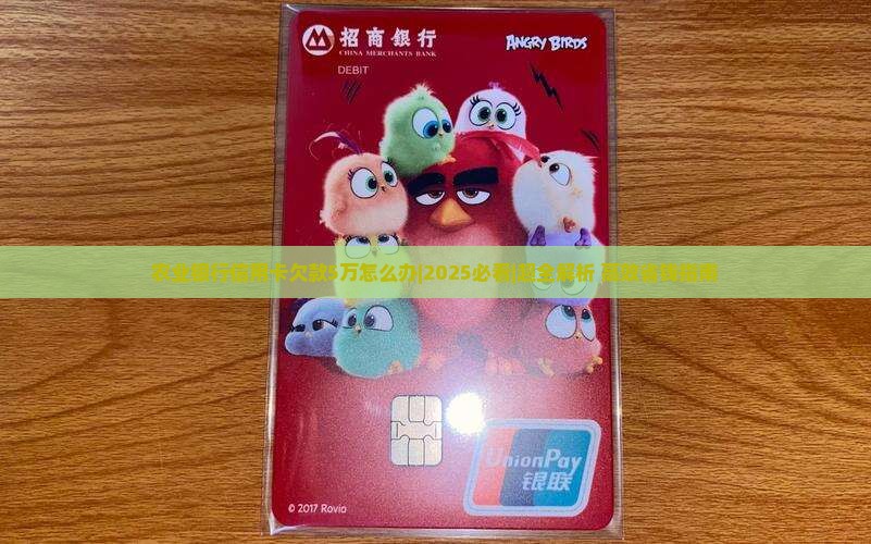 农业银行信用卡欠款5万怎么办