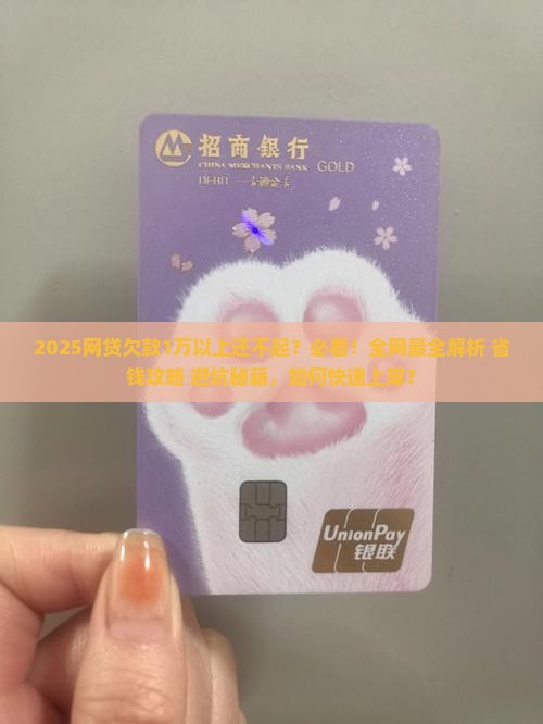 欠了1万多网贷还不起怎么办解决方法 欠了1万多网贷还不起怎么办解决方法