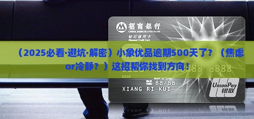 小象优品逾期500天怎么办