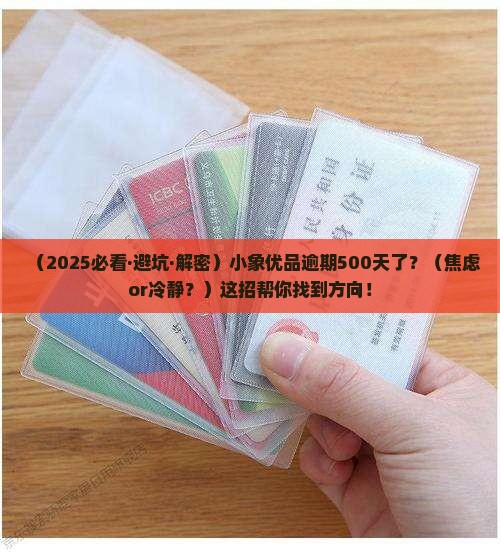 小象优品逾期500天怎么办