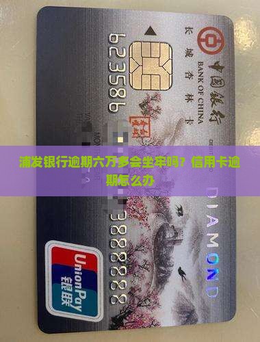 浦发欠六万多会坐牢吗怎么办