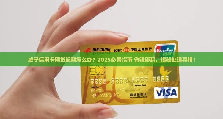咸宁信用卡网贷逾期应如何处理