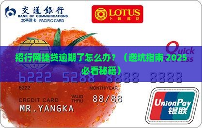 招行网捷贷逾期会怎么样提醒事项