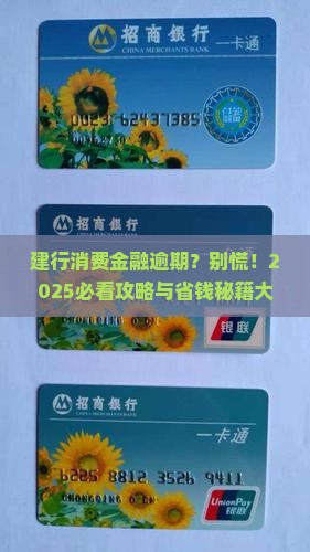 建行消费金融逾期