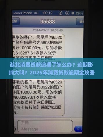 湖北消费贷款逾期怎么办