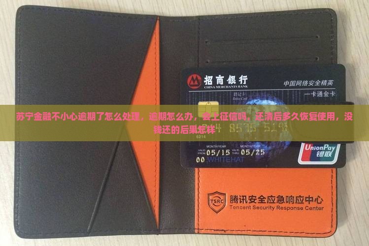 苏宁金融不小心逾期了怎么处理