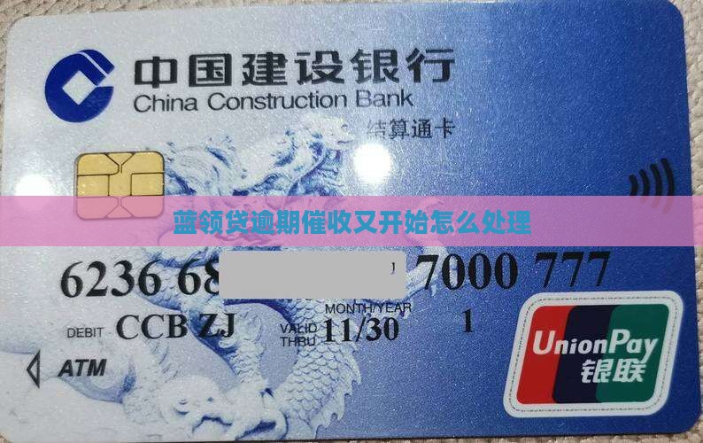 蓝领贷又开始催收了如何处理