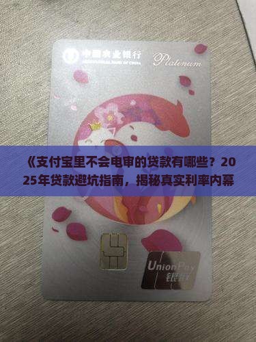 支付宝里不会电审的贷款有哪些