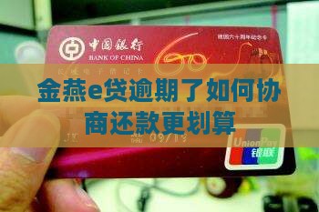 金燕e贷逾期了怎么协商还款更划算