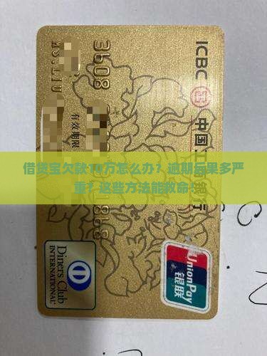 借贷宝欠款10万怎么办