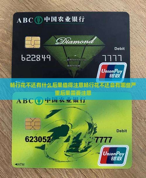畅行花不还有什么后果值得注意