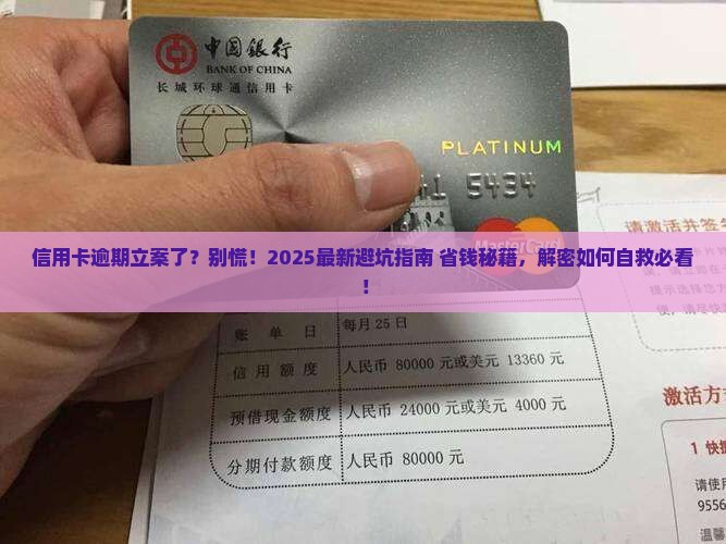信用卡逾期被立案了在哪里查找