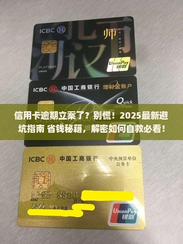信用卡逾期被立案了在哪里查找