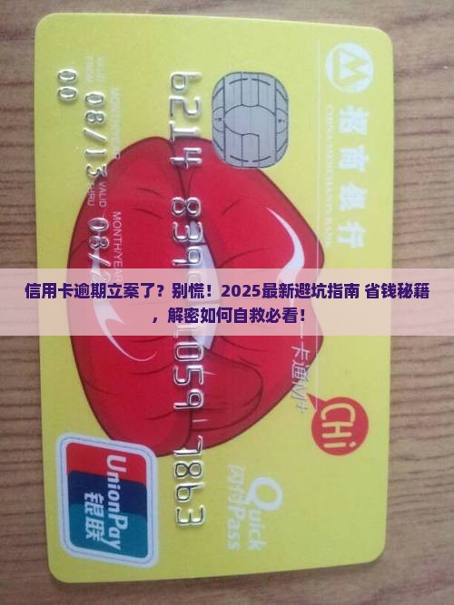 信用卡逾期被立案了在哪里查找