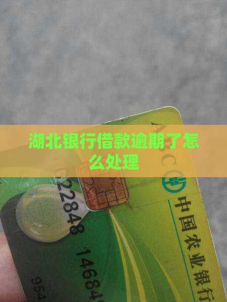湖北银行借款逾期了怎么处理