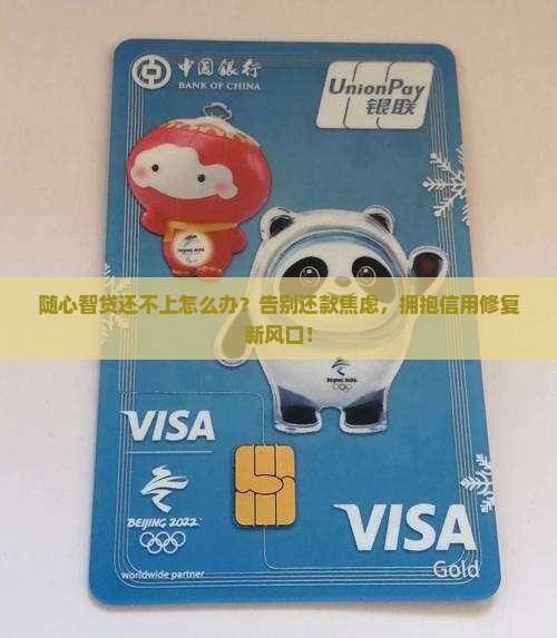 随心智贷无能力还贷