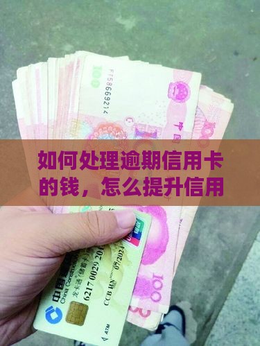 如何处理逾期信用卡的钱呢