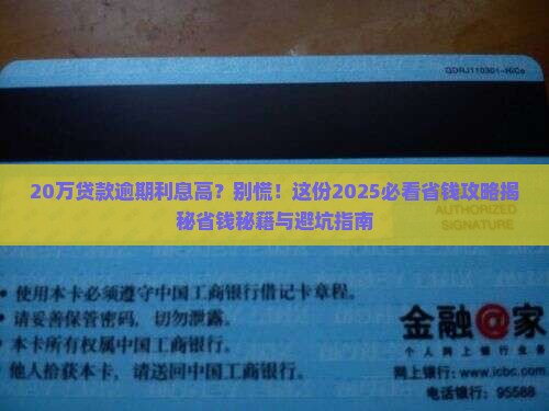 20万贷款逾期利息高如何处理
