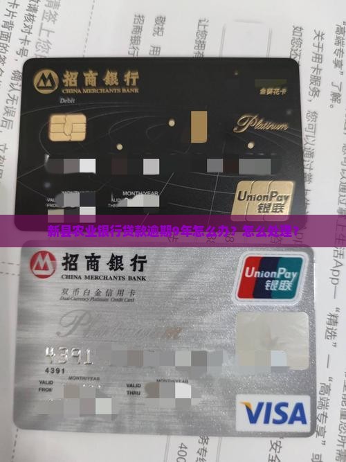 新县农业银行贷款逾期9年怎么办