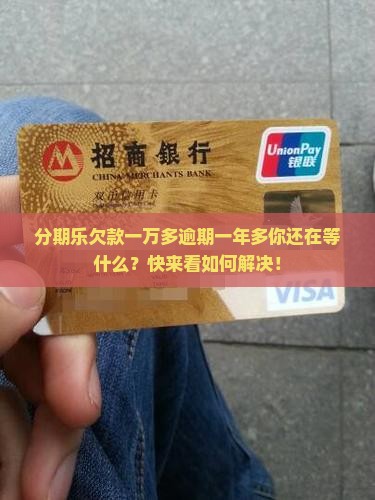 分期乐欠款一万多逾期一年多
