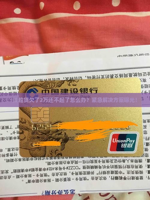 微粒贷欠了2万还不起了