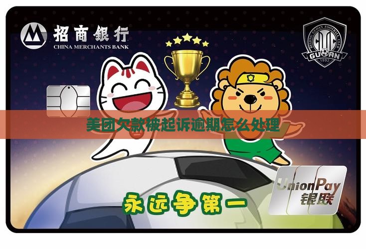 美团欠款被起诉如何处理