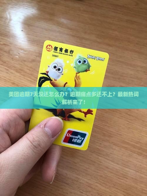 美团逾期7天