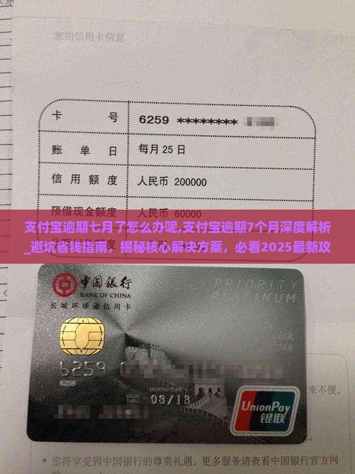 支付宝逾期七月了怎么办呢