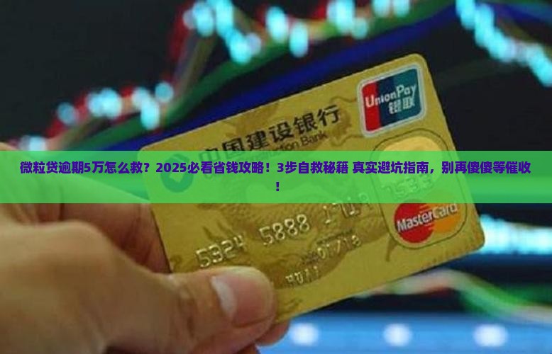 微粒贷逾期5万以上怎么办还款