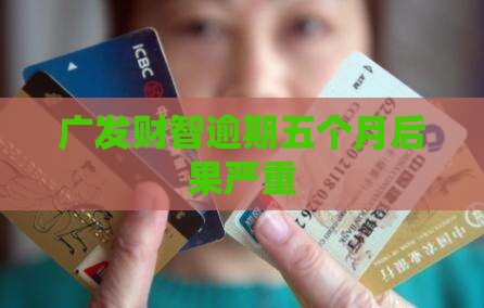 财智金逾期5个月